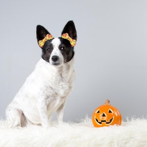 Pigtail Dog Bow Etsy