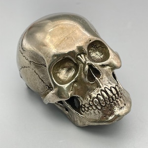 May include: A silver-colored skull sculpture with detailed facial features, including eye sockets, nasal cavity, and teeth. The skull has a smooth, metallic finish and is likely a decorative item or art piece.