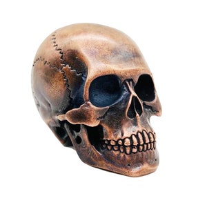 Może przedstawiać: Szkielet czaszki wykonany z miedzi, z detalami takimi jak oczodoły, nos i zęby. Czaszka jest wykonana z gładkiego, metalicznego materiału i ma lekko postarzony wygląd.