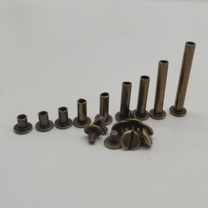 Rivetti a vite con rilegatura in bronzo da 4-125 mm. Lavoro di rilegatura del menu di prenotazione in pelle