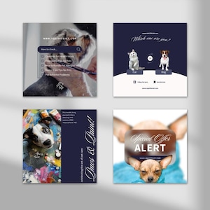 Compilation of social media graphics featuring veterinary care services and pet health tips