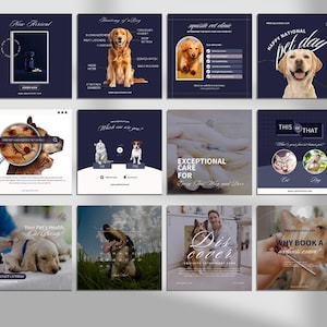 Collection of social media posts promoting pet care products and services for a veterinary clinic