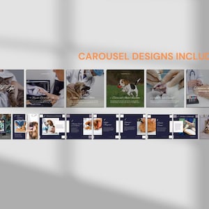 Carousel of veterinary care designs showcasing various pet services and promotions