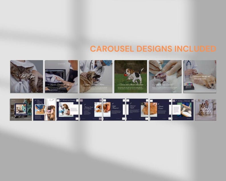Carousel of veterinary care designs showcasing various pet services and promotions