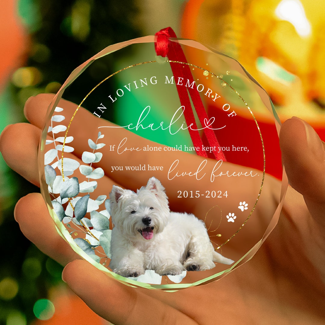 Personalized Pet Memorial GLASS Ornament • in Loving Memory of Dog ...