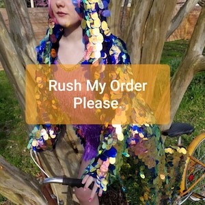 May include: A sequined costume in blue, green, and gold. The costume includes a hood and is worn with blue boots. The image displays the text "Rush My Order Please". A yellow bicycle is visible in the background.
