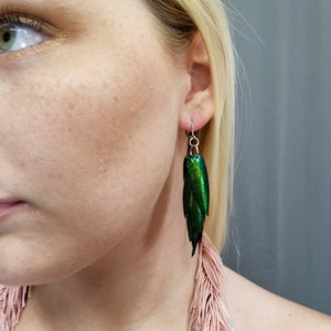 Lightweight Iridescent Green Beetle Wing Dangle Earrings image 2