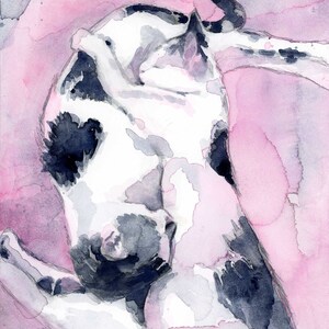 Cat Wall Art Print, Black and White Cat Watercolor Painting, Gift for Cat Lover Women, Girls Room Wall Decor Pink