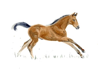 Baby Horse Print for Boy or Girls Room, Farm Themed Nursery, Watercolor Wall Art (Canvas or Framed Options)