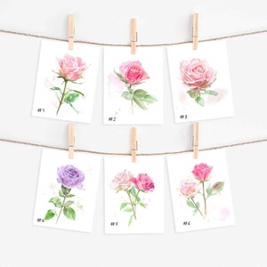 Set of Pink and Purple Rose Cards, Watercolor, Blank Inside, Every Day Greeting, Birthday Anniversary Sympathy Cards, A6 image 2