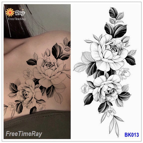 Peony Blooming At The Curve