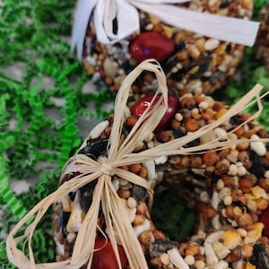 Cranberry Birdseed Wreath Ornament for Winter Christmas Handmade Hanging Attractive Garden Decor Bird Food Holiday Gift