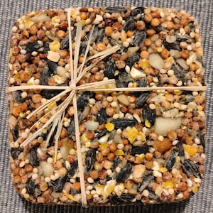 May include: A square block of birdseed mix tied with twine. The mix contains a variety of seeds, nuts, and grains, including sunflower seeds, millet, and corn.