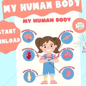 May include: An illustration of the human body systems for kids. A cartoon girl is in the center of the image with the different systems labeled around her. The systems include the nervous, circulatory, skeletal, muscular, respiratory, and digestive systems.