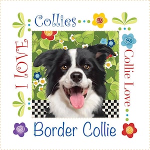 May include: A black and white Border Collie dog with a happy expression, surrounded by green leaves and colorful flowers. The text "Collies... I Love... Collie Love..." is on the border of the image. The text "Border Collie" is at the bottom of the image.