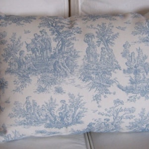 May include: A white pillow with a blue toile pattern featuring a pastoral scene. The pillow has a blue ruffled trim.