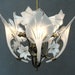 see more listings in the Ceiling Lights section