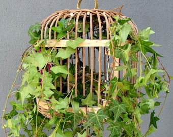 Basket Bird Cage, Hanging planter Basket, Partridge Bird cage, Cottage chic, Vintage Handmade Basket, Rustic Home decor, Basket Home Decor