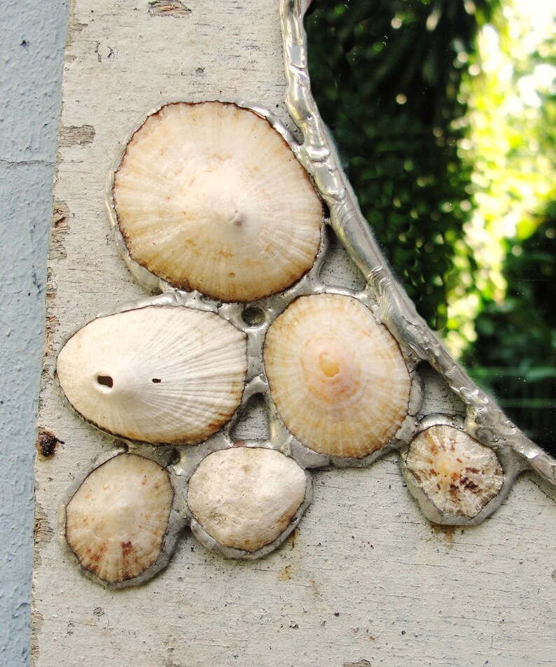 Sea Mirror and Jewelry Storage Rack Holder, Driftwood Mirror Soldered Limpet Shells, Metal, Driftwood, Sea Urchins and Mirror image 9