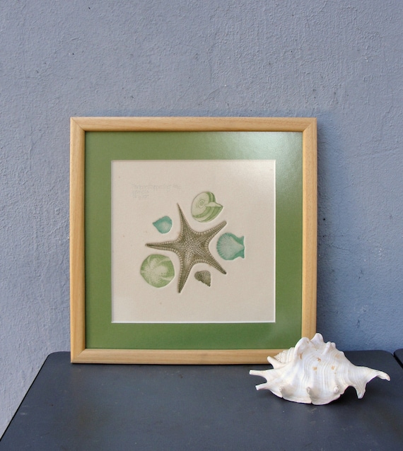 Vintage Embossed Seashells Watercolor Signed Art Pamela Etsy