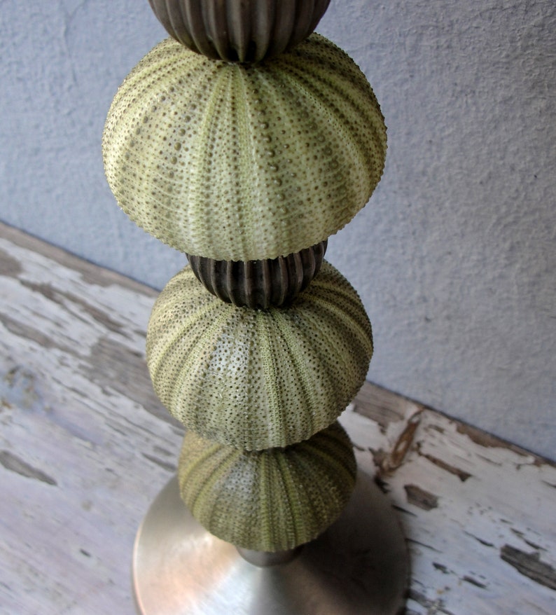 Green Sea Urchin Candle Holder Nautical Beach Decor Beach Etsy
