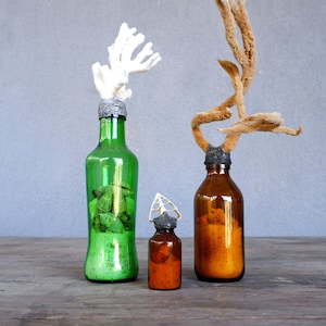 Coastal Bottle Set, Sea Coral, Sea Plant, Seashells, Sand, Green and Brown Glass Bottles