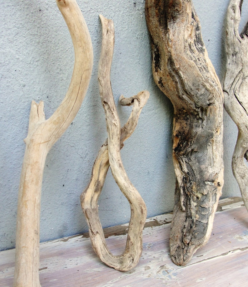 Natural Driftwood Sticks Beach Home Decor Driftwood Decor Etsy