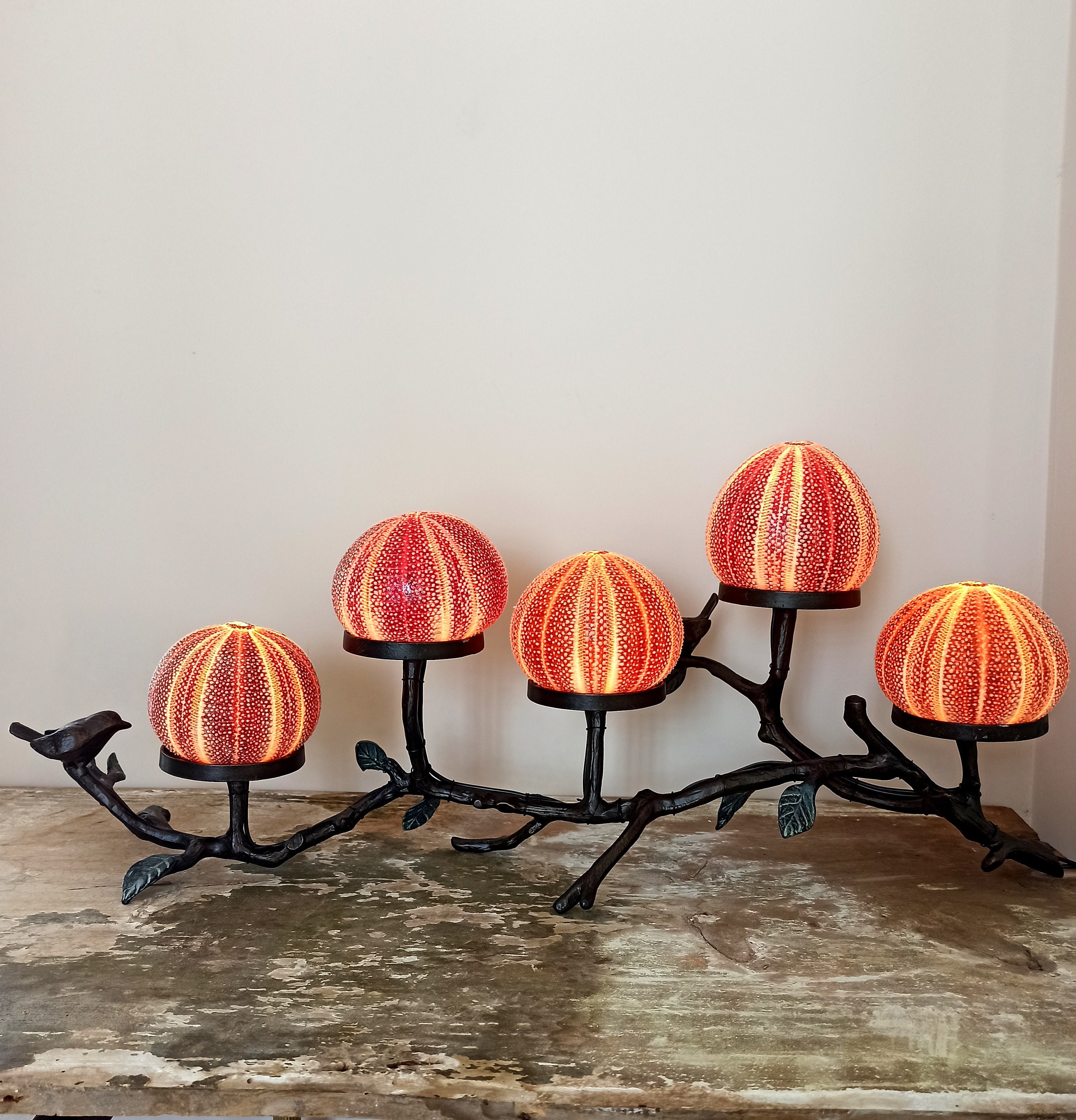 Sea urchin lamp base deals