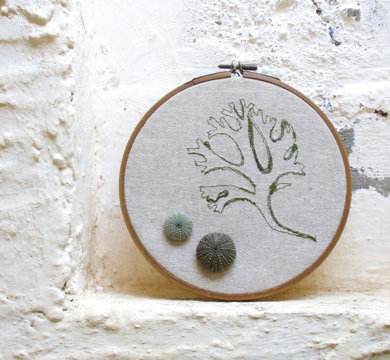 Sea Urchins and Seaweed Tango Embroidered Hoop Wall Hanging image 1