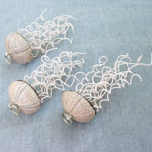 Oh Jellyfish, Jellyfish... Sea urchin Ornaments set of 3