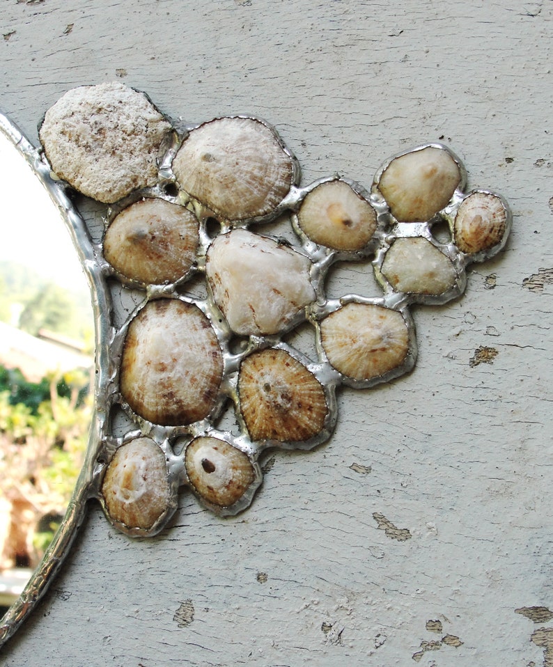 Sea Mirror and Jewelry Storage Rack Holder, Driftwood Mirror Soldered Limpet Shells, Metal, Driftwood, Sea Urchins and Mirror image 4