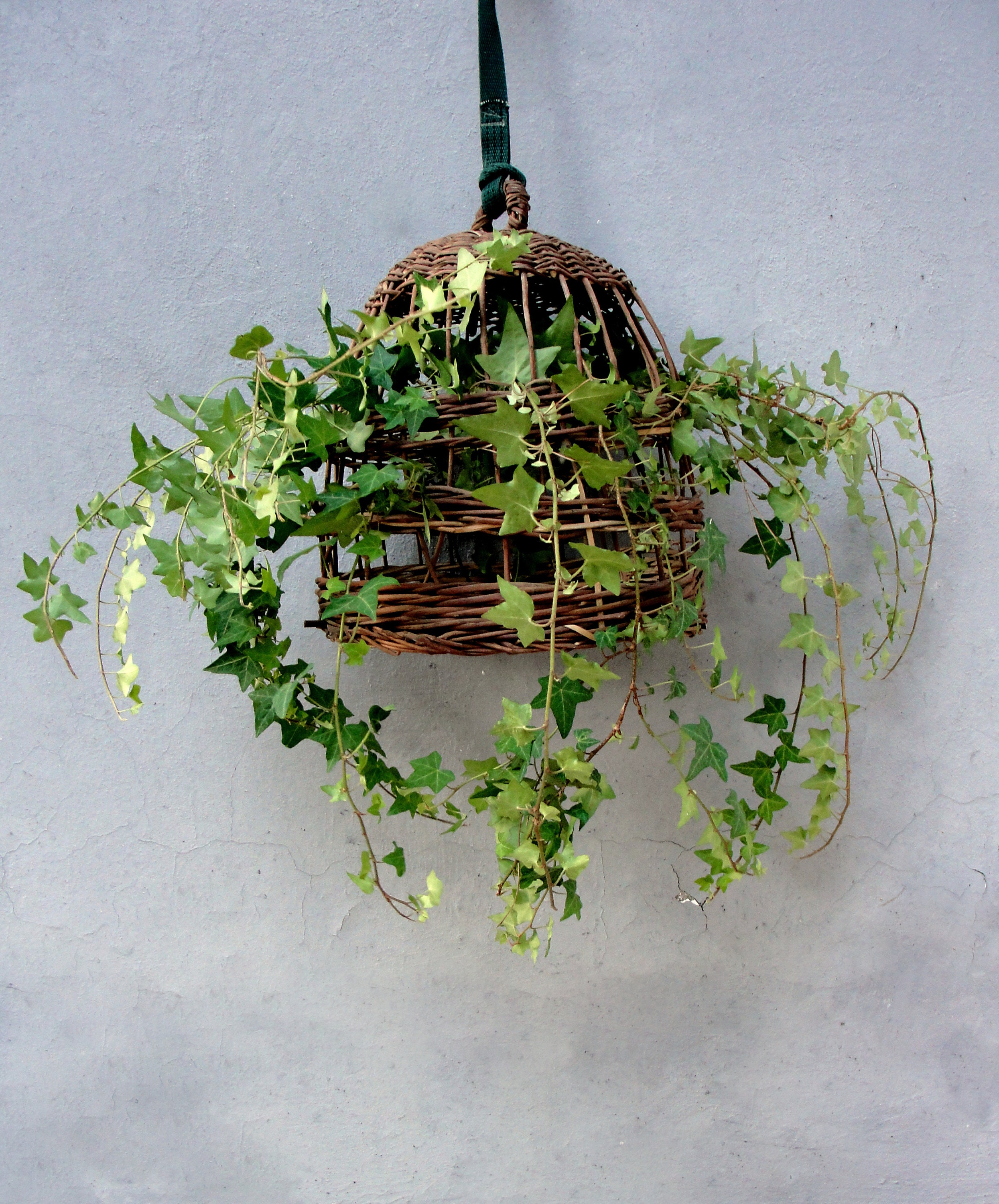 Basket Bird Cage Hanging planter Basket Partridge Bird cage Etsy