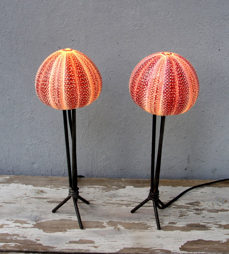 Sea Urchin Lamp Nautical Lighting Table Art Sculpture Atmosphere Light Beach Cottage Mermaid - Sea Urchin Lamp Sea Urchin Lamp Nautical Lighting Table Art Sculpture Atmosphere Light Beach Cottage Mermaid - Sea Urchin Lamp