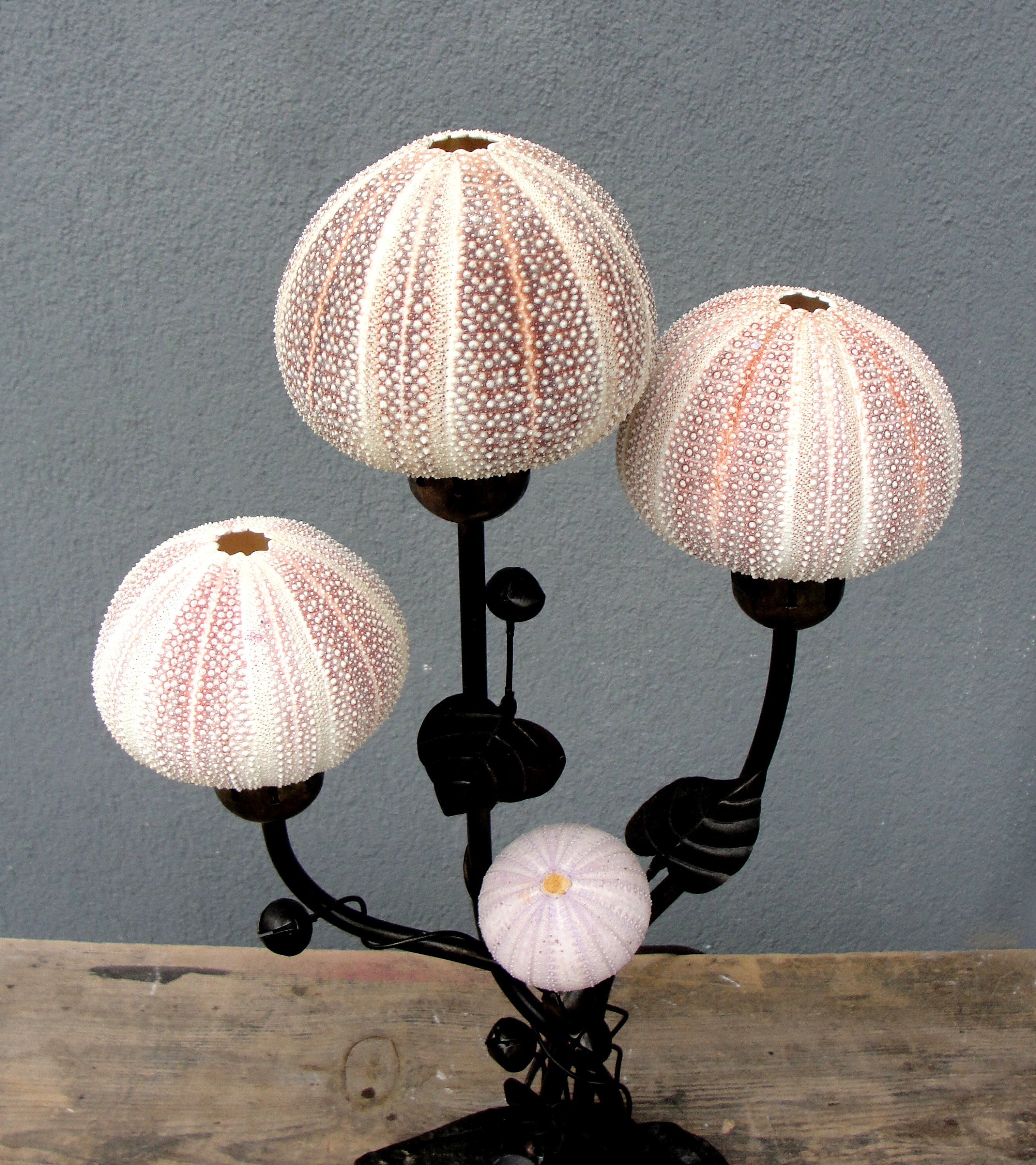 Sea urchin lamp base deals