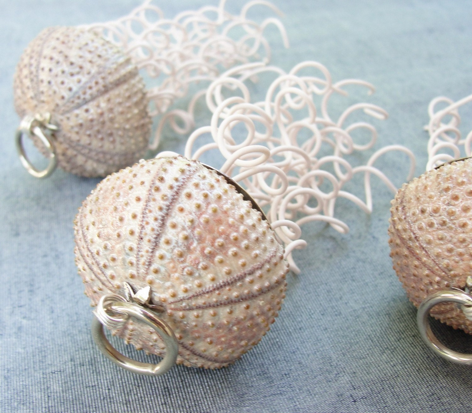 Oh Jellyfish Jellyfish... Sea urchin Ornament Etsy