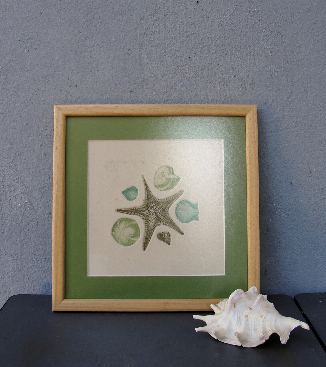 Vintage Embossed Seashells Watercolor Signed Art Pamela Etsy