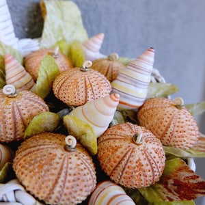 Sea Urchin Bouquet, Shabby Chic Flower Basket with Sea Urchin Flowers Wall hanging Door Hanger decor