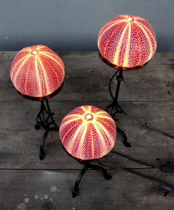Nautical lantern table sale lamp