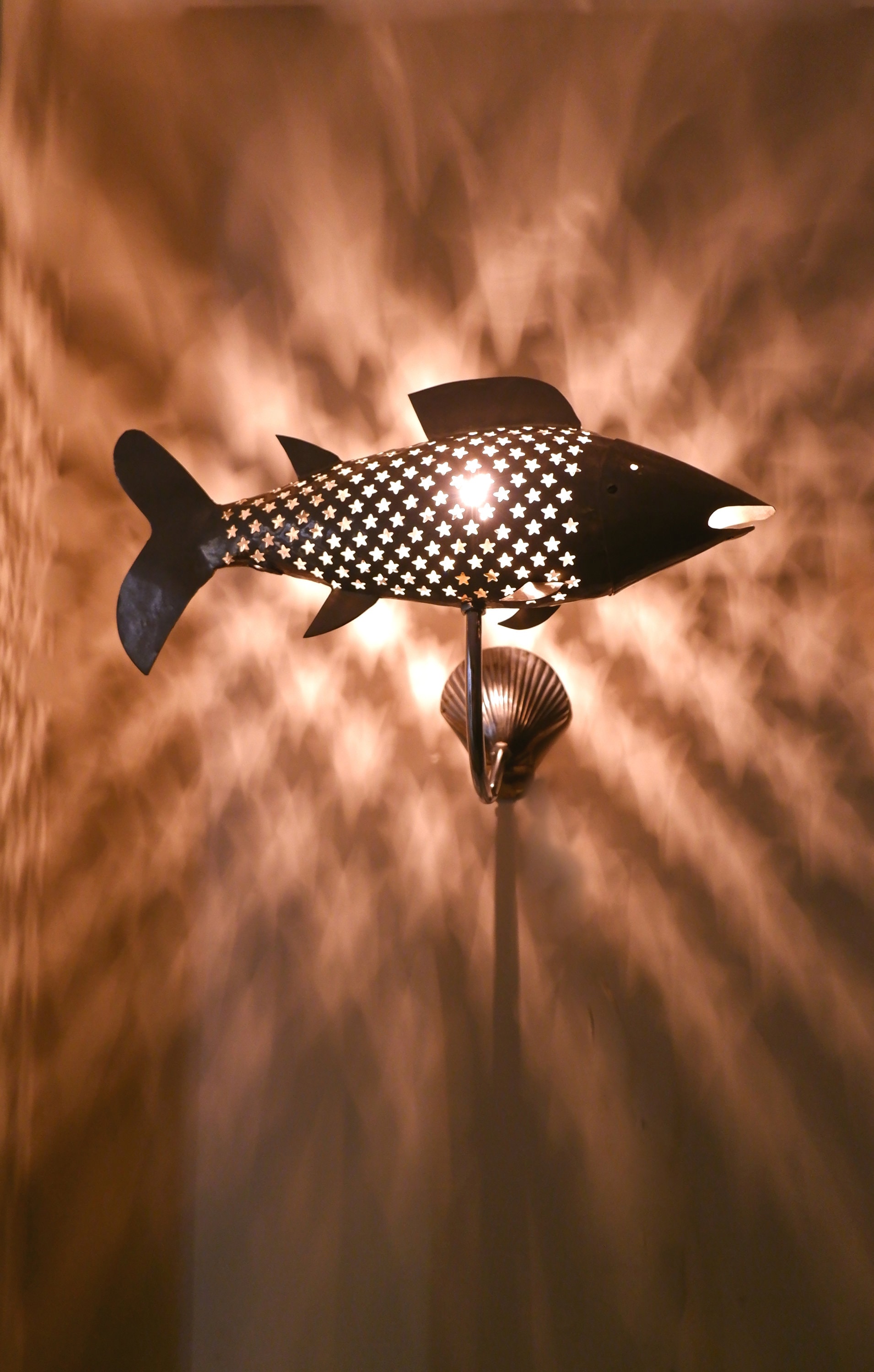 solar fish light 