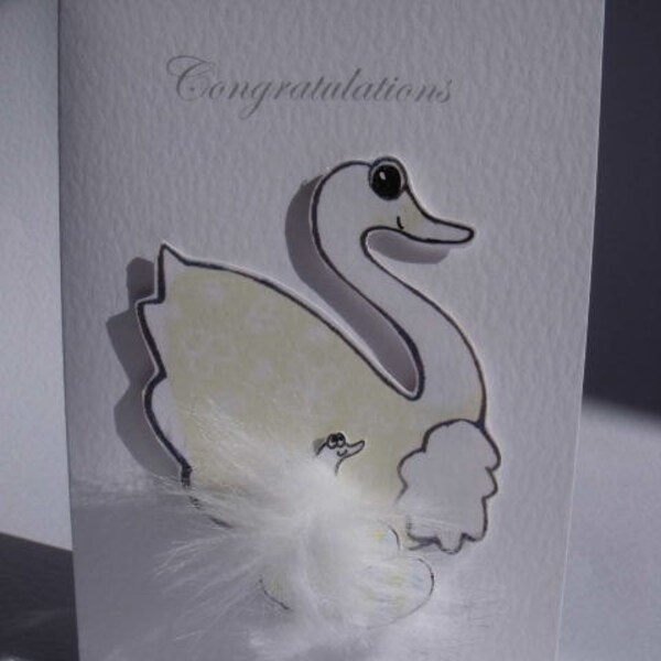 aaaw a new baby congratulations on the little one new baby happy hatchling cygnet swan yellow nest broody bird hatchling new born newborn