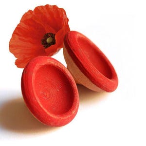 Op de afbeelding: Twee rode, houten, komvormige objecten met een rode rand en een natuurlijke houten basis worden getoond naast een levendige rode klaproosbloem. De objecten staan tegen een witte achtergrond, wat een opvallend contrast creëert.
