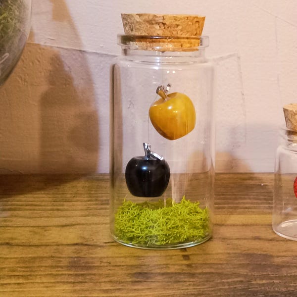 Dreamtale Themed Twin Apple Glasflasche Glas Sammlerstück