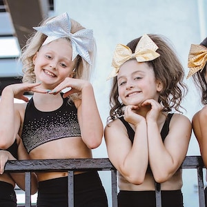 THE PERFECT POSH | Cheer Posh Ponytail – 100% Real Human Hair | Custom Handmade Cheerleader Hairpiece | Cheer hair | Cheer Ponytail | Posh