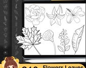 210+ Flower and Leaf Procreate Stamps (Digital Download)