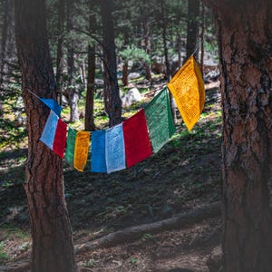 Medicine Buddha Prayer Flags - Handmade in Nepal