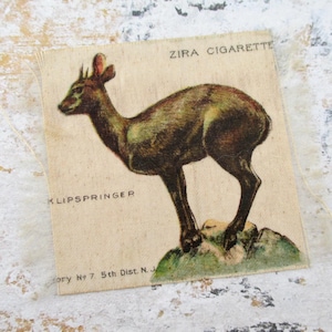 Vintage Zira Cigarettes Silk - Klipspringer