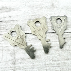 May include: Three silver-toned metal keys with a distinct fan-shaped head design. Each key features a circular hole at the top and the word Master embossed in a serif font across the center of the head, with engraved lines radiating outward.
