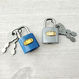 May include: Two padlocks with keys. One is blue, the other is gray. Both have a gold-colored emblem on the front. The keys are attached to the padlocks with a metal ring. The background is a light gray wood grain.