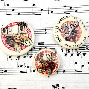 The Vintage Loyal Order of Moose Pinbacks - New Castle, Indiana