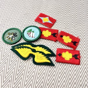 May include: A collection of embroidered patches in various shapes and designs. Includes round green patches with insect and tree motifs, red rectangular patches with yellow and black designs, and green and yellow wing-shaped patches.